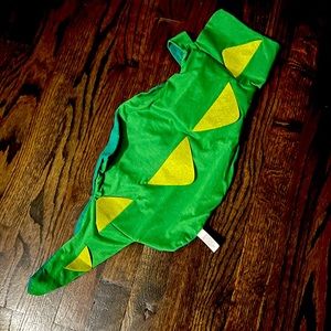 Dinosaur costume for dogs